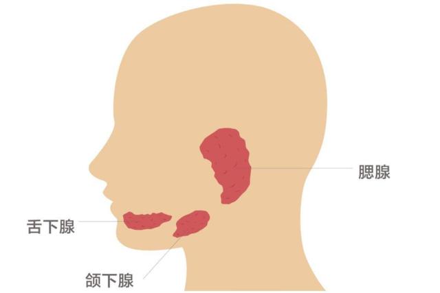 宝宝腮腺炎如何好得快,宝宝腮腺炎需要注意什么