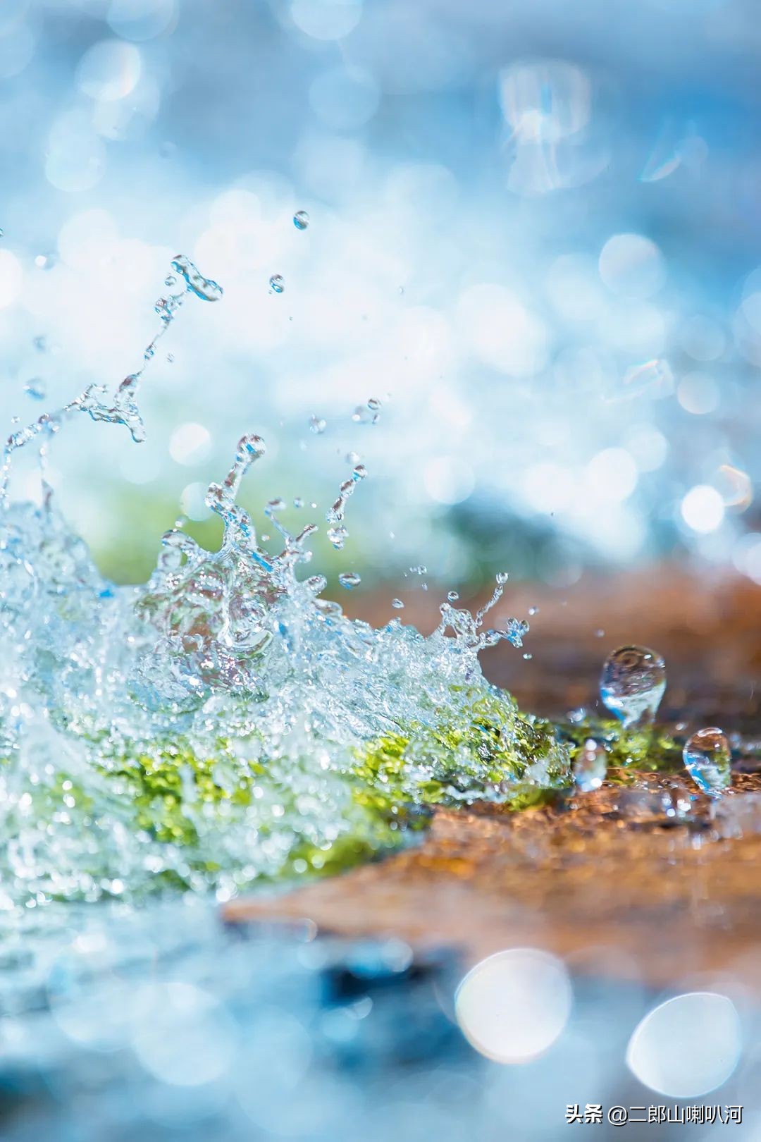 鎶婇鏅粰甯﹁蛋,鎶婂ス甯﹁蛋