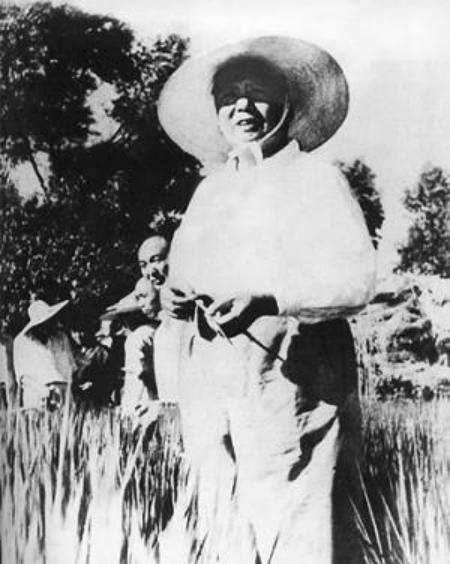 诗词世界杯中华诗词大赛第二名,华夏杯诗词大赛获奖作品欣赏