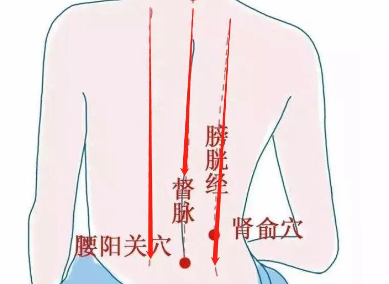 白露时节吃这些滋阴润肺补气血,白露节气饮食注意滋阴润肺