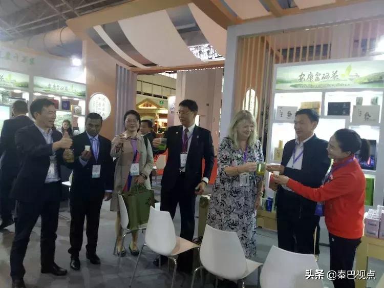 秦汉古茶价格,秦汉古茶图片