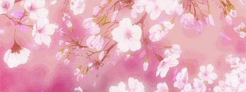 mac桃花限定,mac桃花