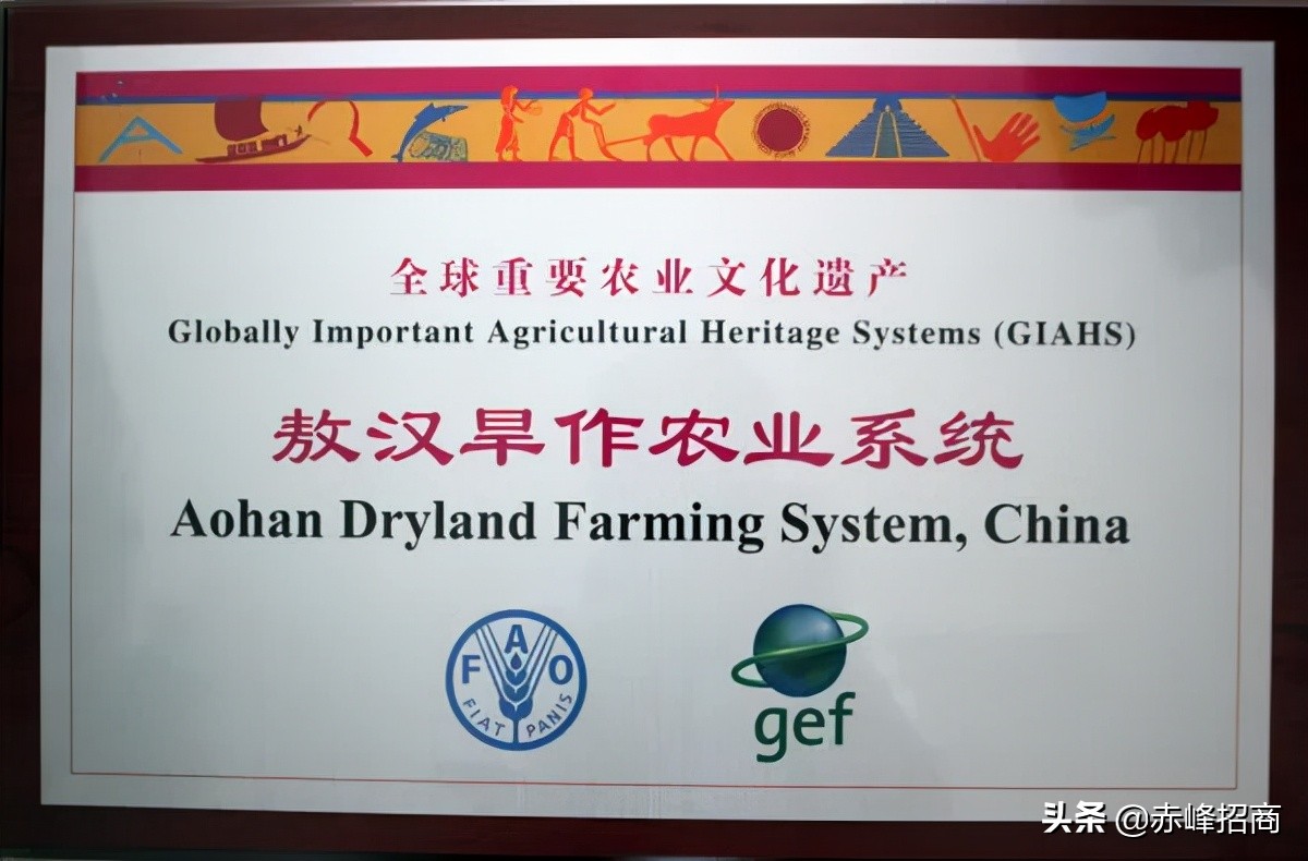 敖汉旗——龙祖玉源地华夏第一村