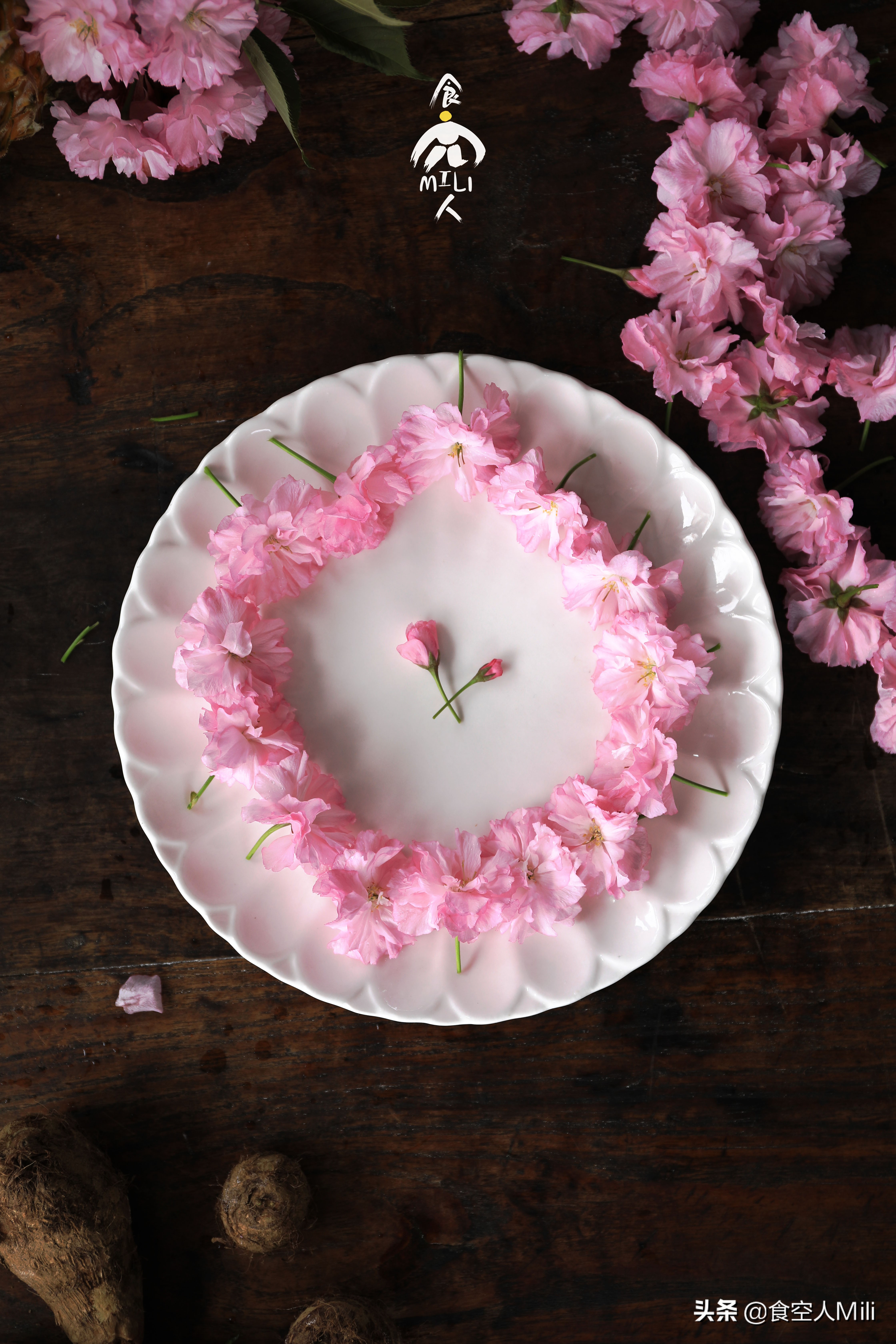 樱花芝士布丁,经典原味芝士布丁