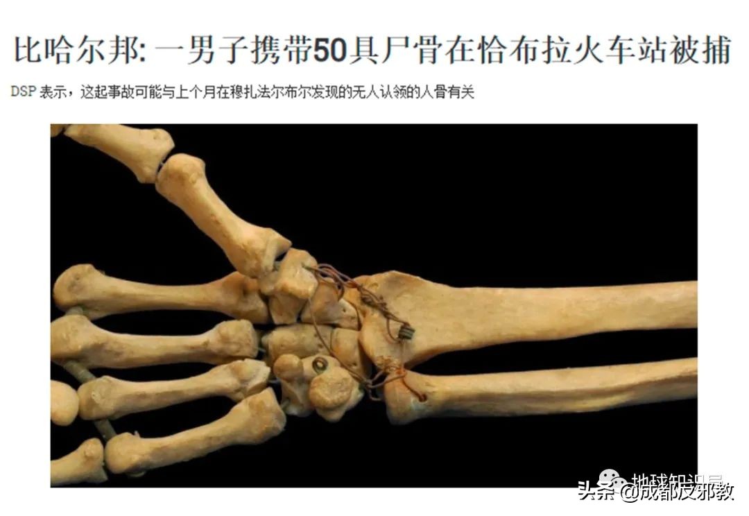 带你揭秘印度人骨*市黑**：骨头明码标价，祖宗们的尸身变成摇钱树