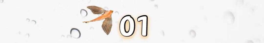 陈慧娴与梅艳芳实力,梅艳芳和陈慧娴的纷争