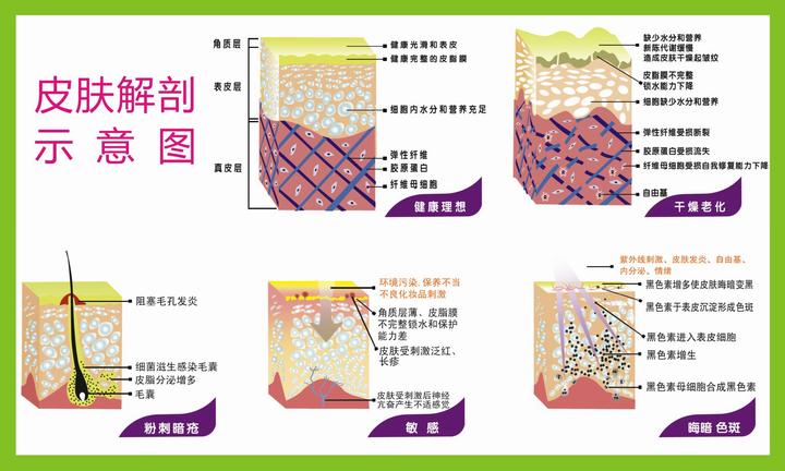 腹部胰岛素注射部位的轮换,胰岛素注射部位规范轮换意义