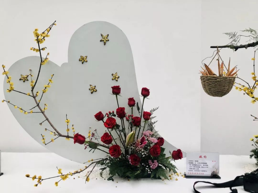 许昌鄢陵腊梅,许昌蜡梅