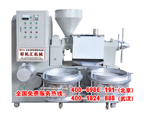 全自动榨油机小作坊项目,全自动榨油机一体