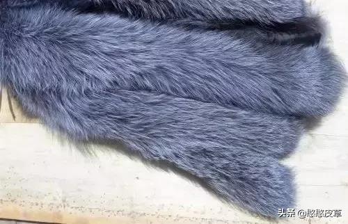 獭兔皮草怎么分辨是真是假,兔毛皮草怎么鉴别真假