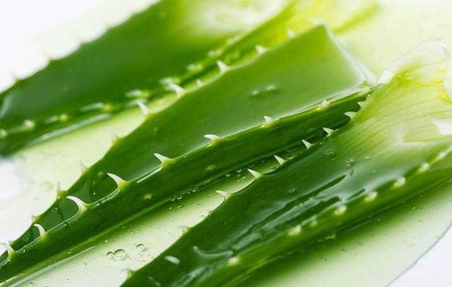 李佳琦推荐的护肤好物，连老爸测评都点赞，价格还不到100元