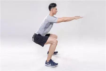深蹲训练和什么训练组合最好,深蹲训练从零开始计划