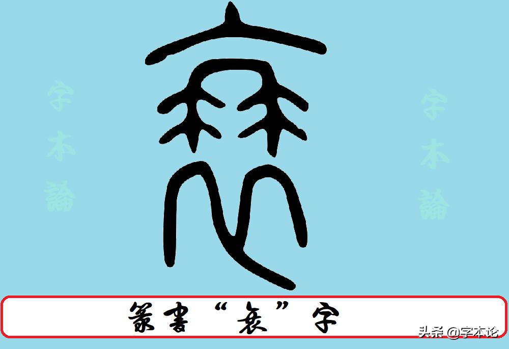 回乡偶书中衰字的正确读音是什么,衰和蓑分别怎么读