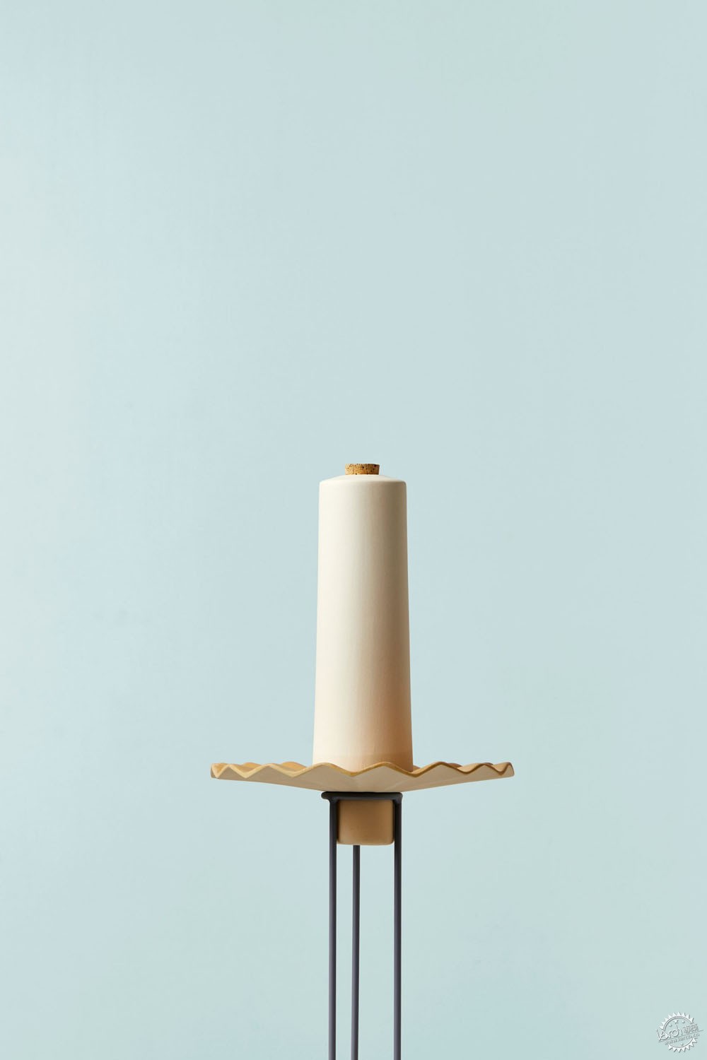 独居蜜蜂有哪些,独居蜜蜂