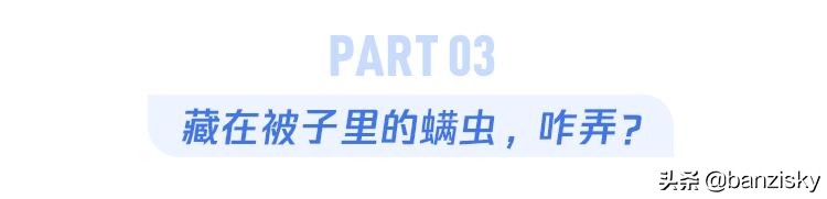 被子长出了木耳，老鼠满地跑，牙刷长了毛，这宿舍该咋收拾啊