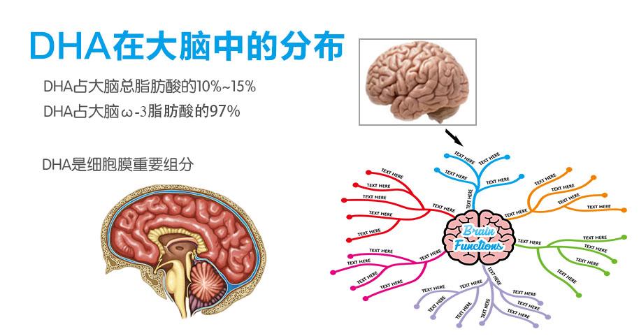 吃好喝好也能预防产后抑郁！产后妈妈不妨尝试一下地中海饮食