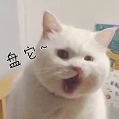 约吗|这一次，我们把“瑞星”年度盛典搬进了“雪山”