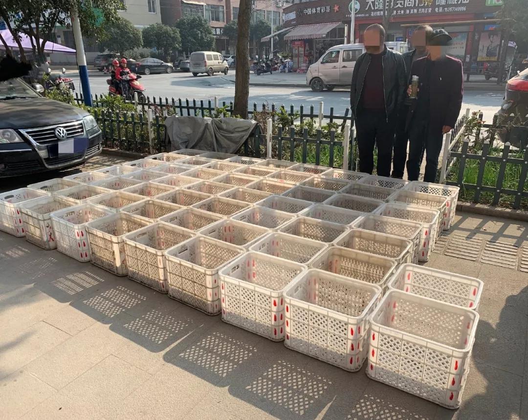 三笨贼偷桔子,三蠢贼