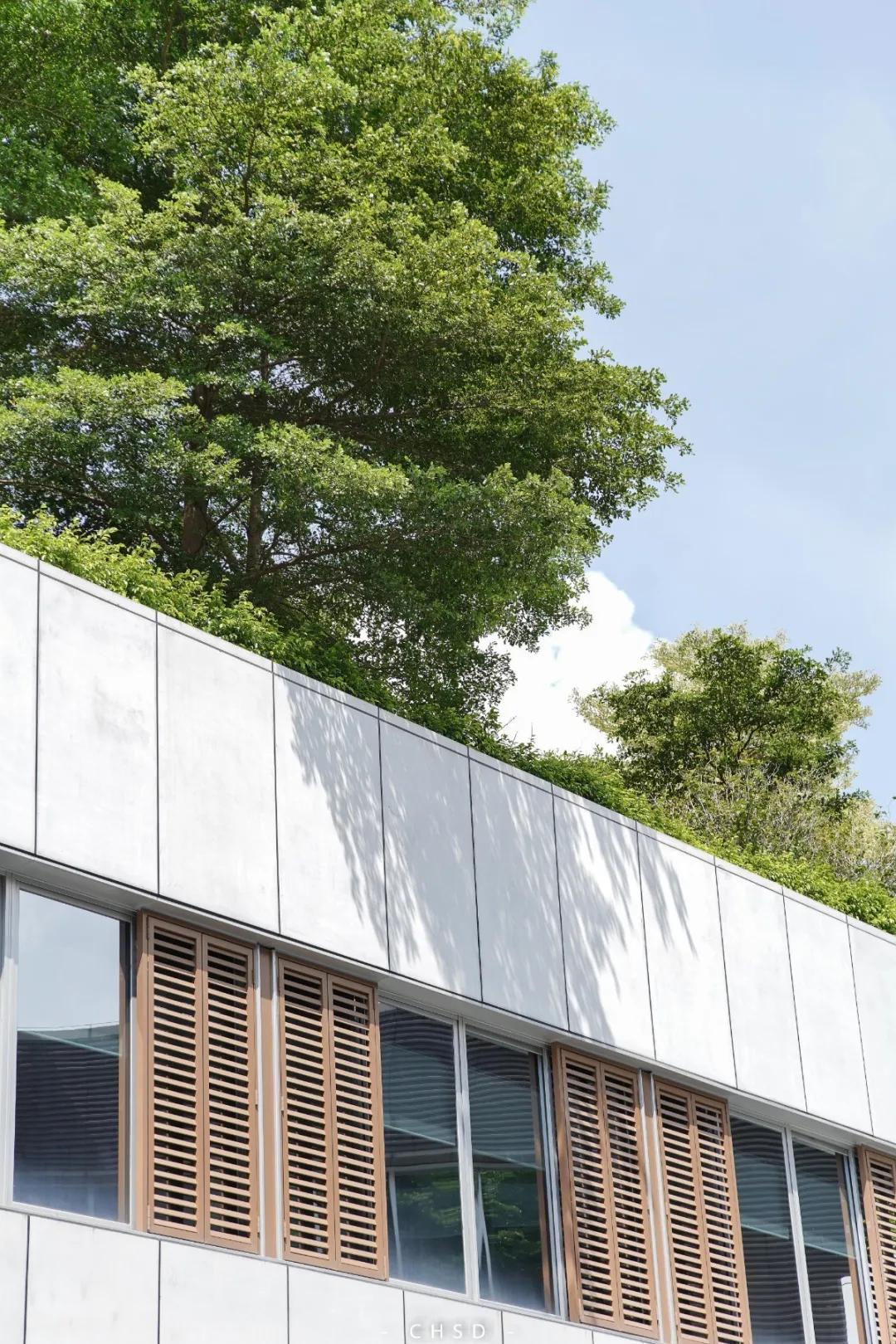 明星都来打卡的店,众多明星大咖打卡的酒店