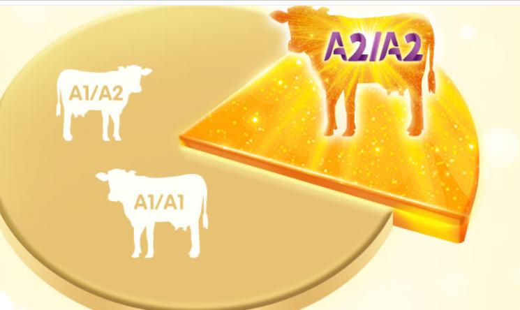 君乐宝奶粉成人补钙奶粉价格,宝宝吃什么牌子奶粉补钙效果好