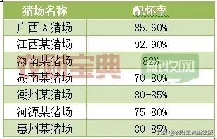 猪上天,猪价上天了