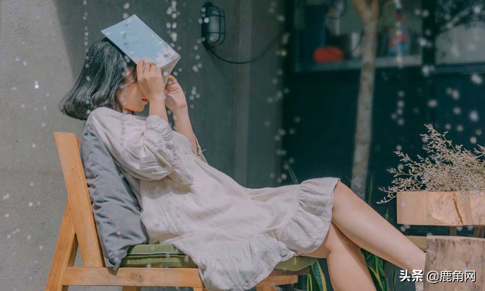 苍蝇冬眠时躲在哪里,下雨时苍蝇和蚊子在哪