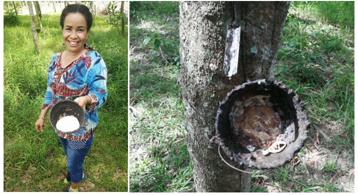 泰国当地乳胶床垫排名,泰国哪里有大量的乳胶床垫