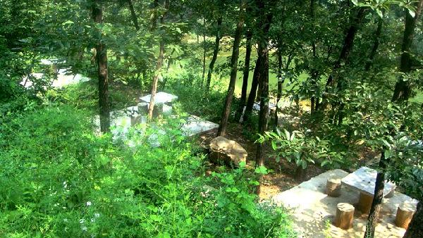 陕州区地图,陕州地坑院图片