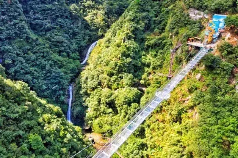森林负离子度假酒店,负氧离子氧吧酒店