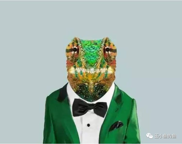 pdp性格测试有用吗,pdp动物性格测试分析