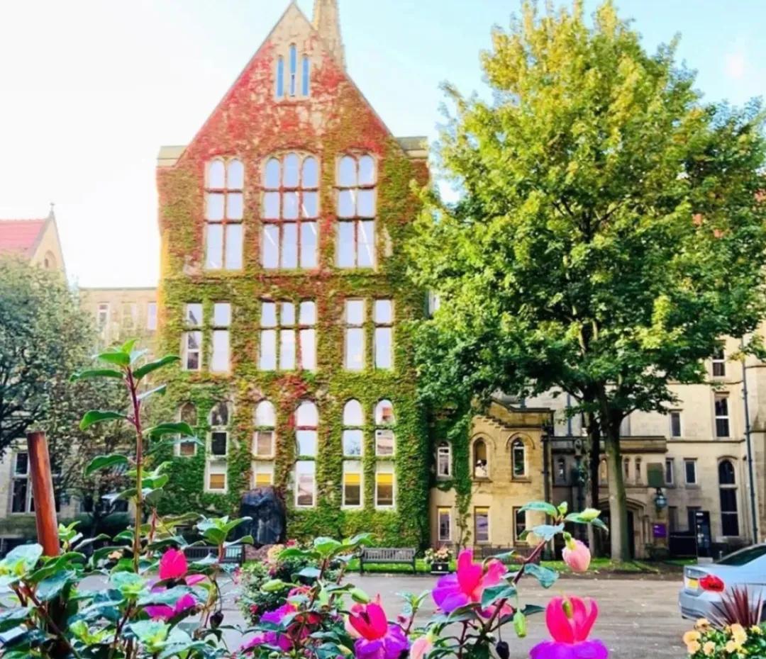 指南者留学时刻,指南者留学老山