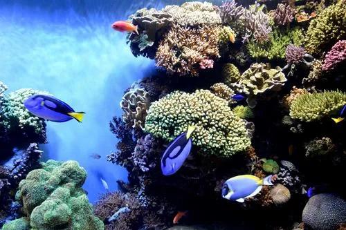 生物选修三填空题,生物选修3基础练习题