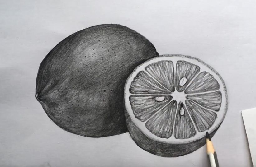 素描水果或蔬菜,素描蔬菜和水果怎么画出质感