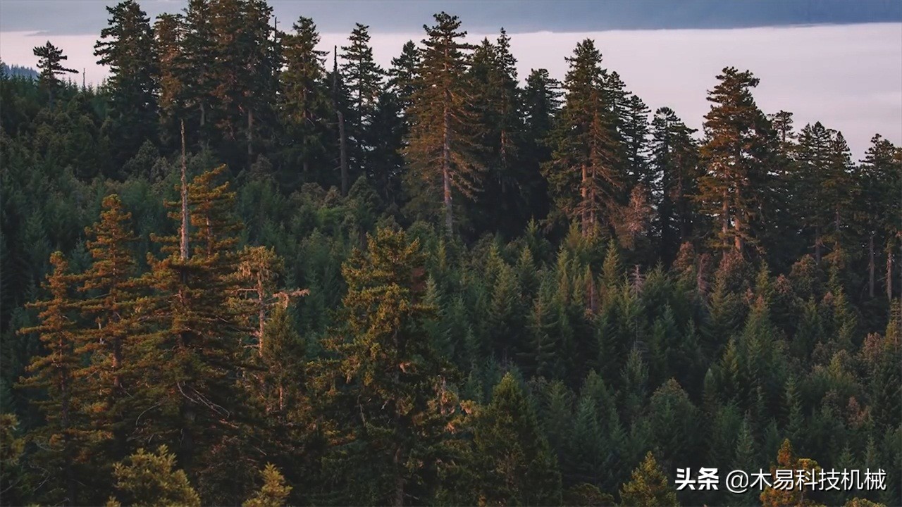 发明树桩拉拔机视频,德国最牛逼的树桩拉拔机