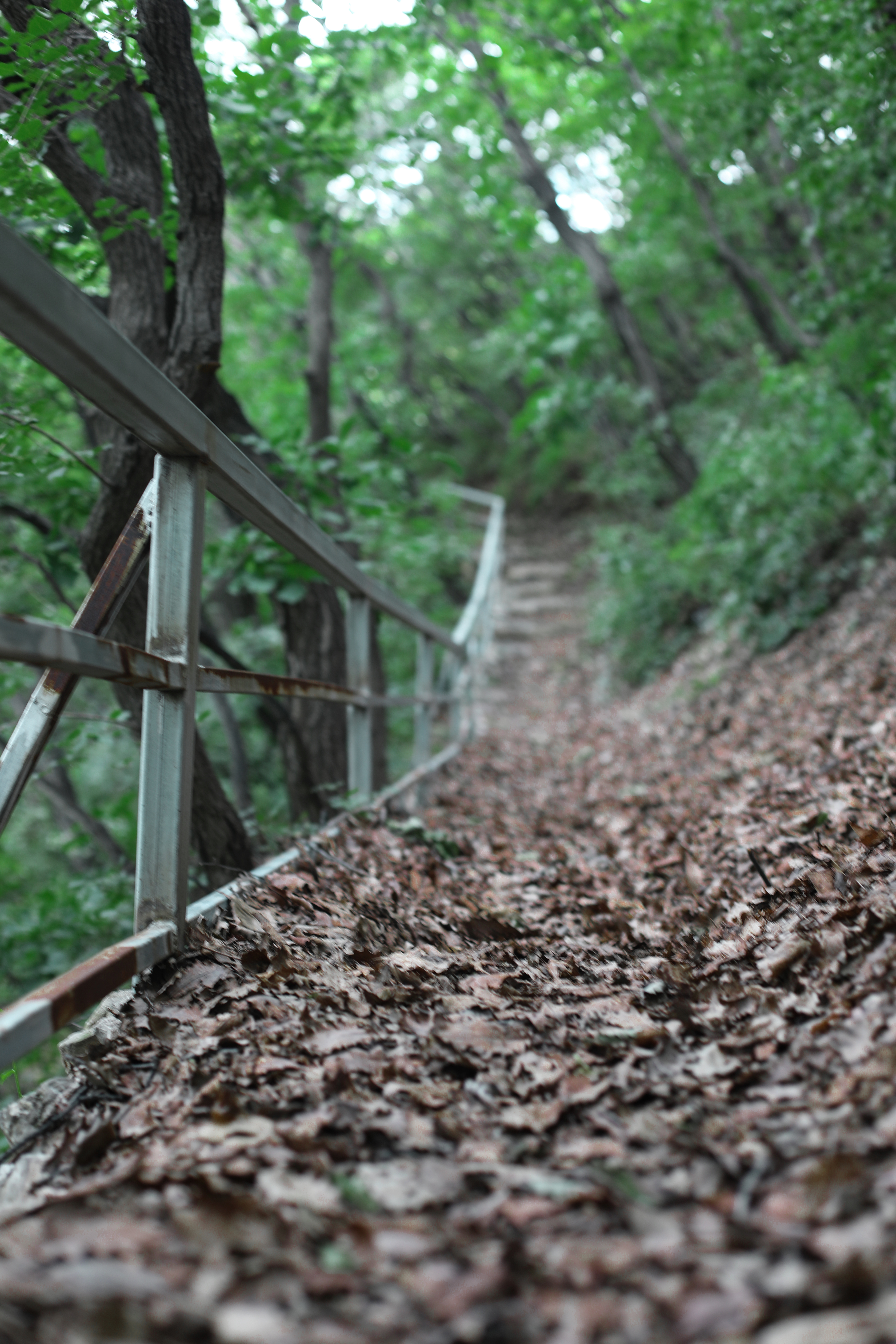京郊十条登山步道推荐,房山蝴蝶谷登山步道