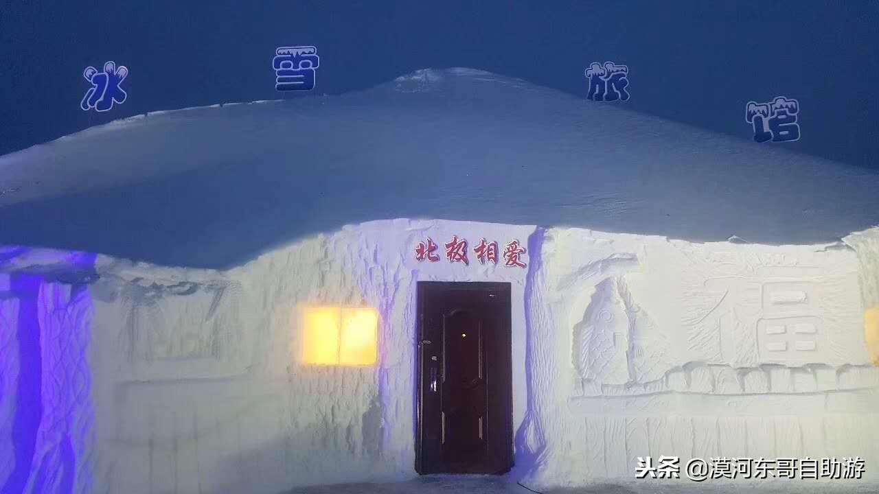 漠河极寒之旅,漠河遇到熊