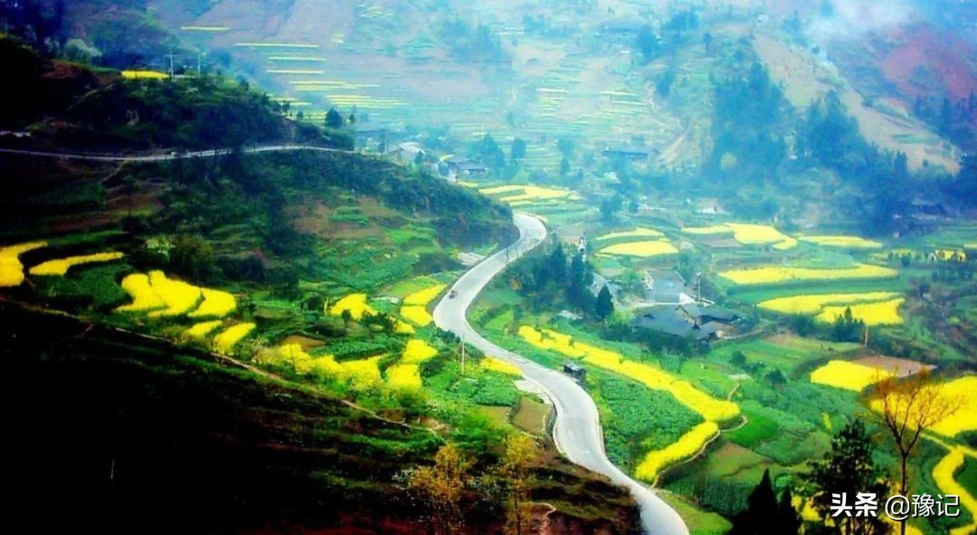 信阳毛尖新茶好喝还是老茶好喝,信阳毛尖单芽与一芽一叶哪种好喝