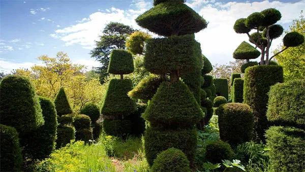 花园设计前沿趋势|14种澳洲庭院花园类型(上篇),全面细致