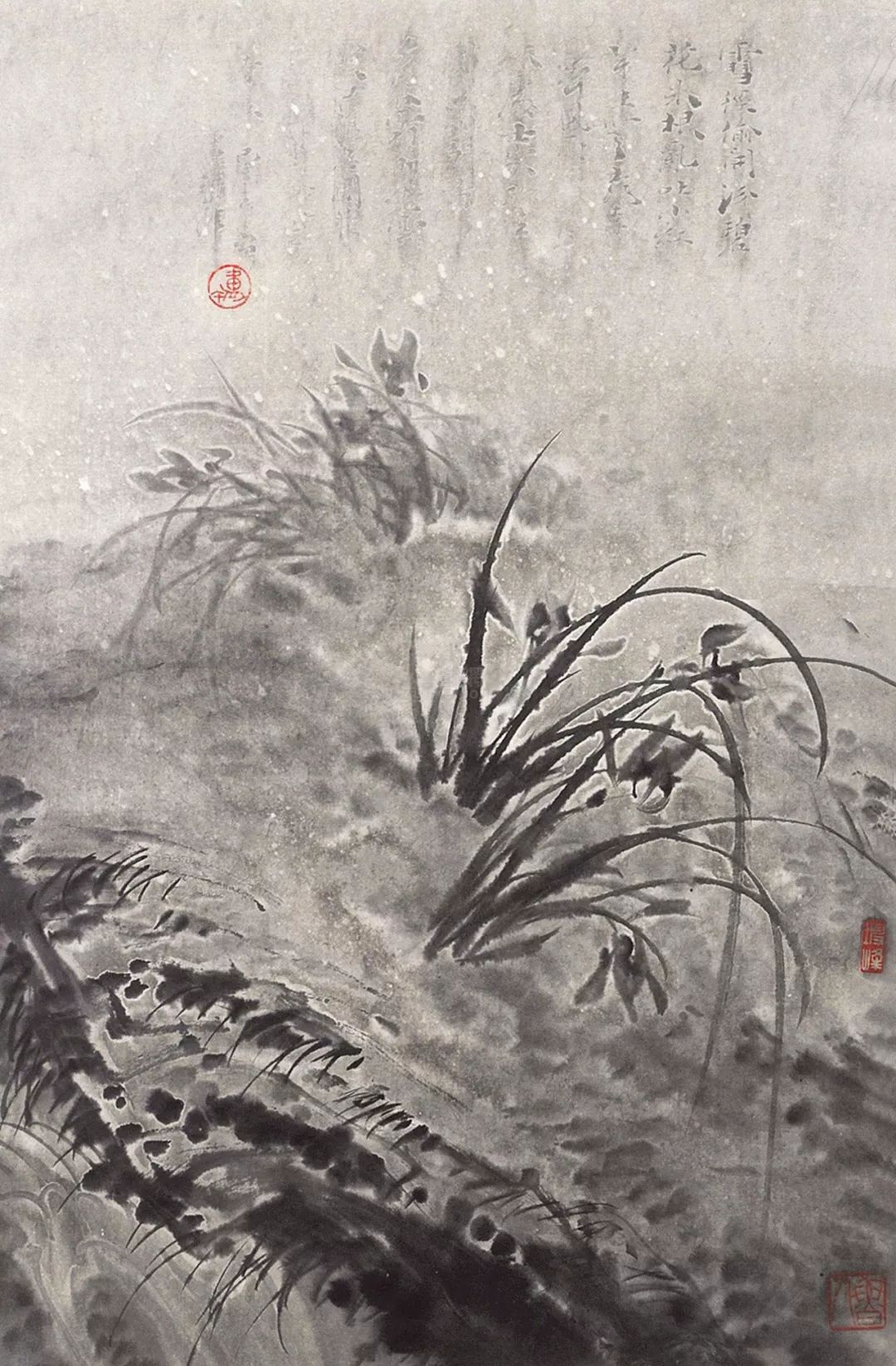 水墨怎么画兰花最好看,如何画兰花大全图片