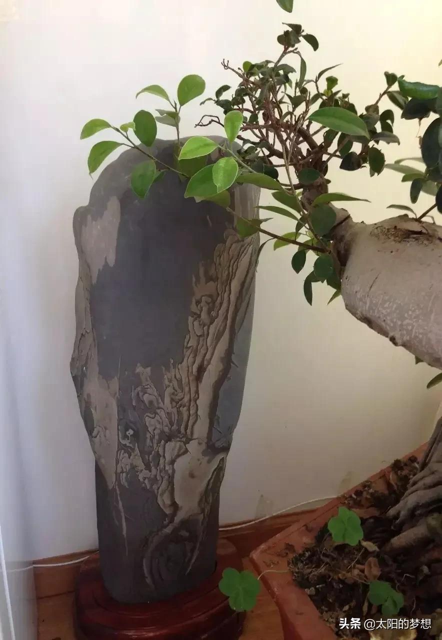 奇石是天然的艺术品,奇石珍品神奇石头