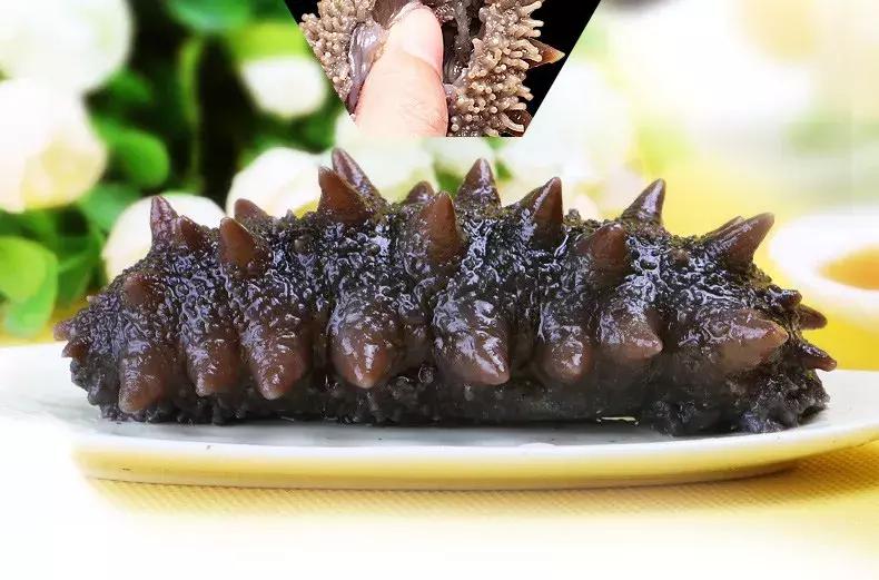 海参不能一概而论,如何选择海参才能最好