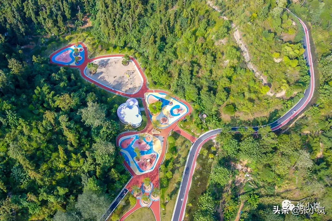 藏在森林里的儿童乐园,韶关市森林公园儿童游玩项目