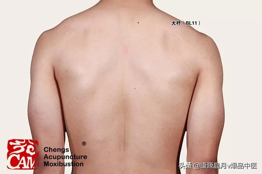 八总穴和八会穴有哪些,八会穴和八脉交会穴有什么区别