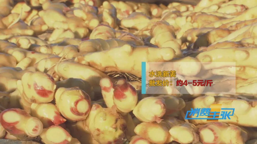 大量精品生姜出售,今日鲜姜收购价格