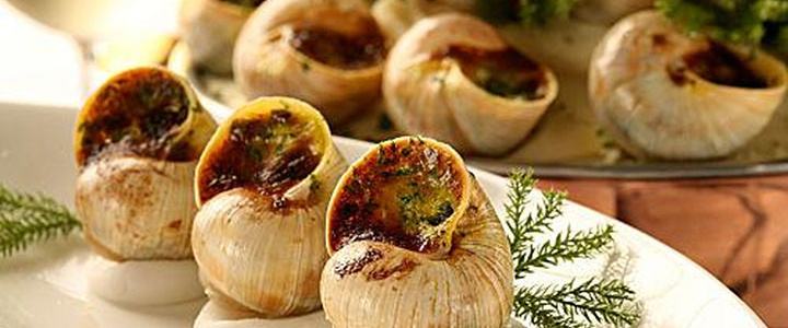 蜗牛养殖是假是真,蜗牛养殖能赚钱吗