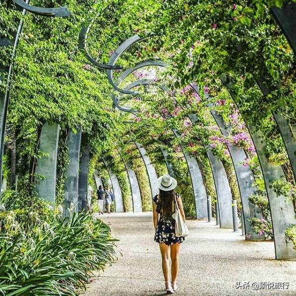 为什么澳大利亚被叫做土澳,为什么澳大利亚被称为土澳