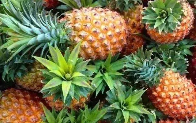 重磅广中珠澳高铁穿越南沙城心,广州地铁直达中山