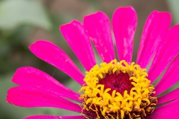 摄影师必备50mm镜头,定焦18-55mm镜头拍摄技巧