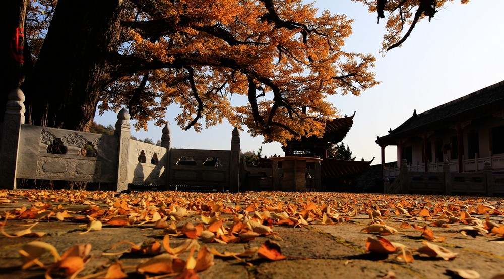 鲁山文殊寺,云雾缭绕人间仙境的寺庙大佛