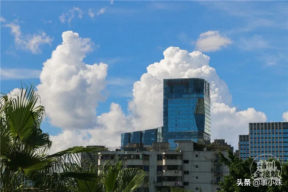 福州中亭街服装批发市场整体现状,福州农贸市场搬迁规划